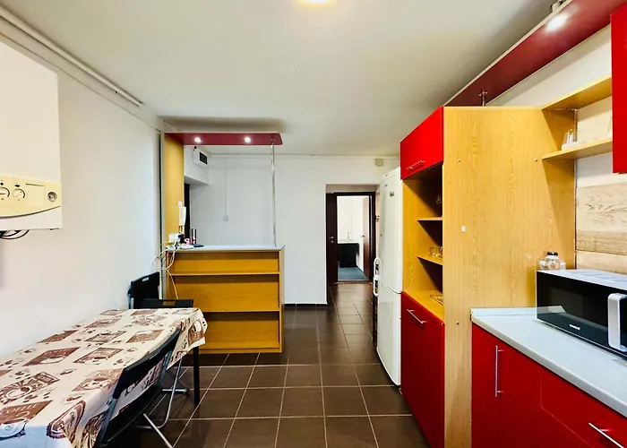 Joy Very Big Ofcea 17 Apartamento Timişoara